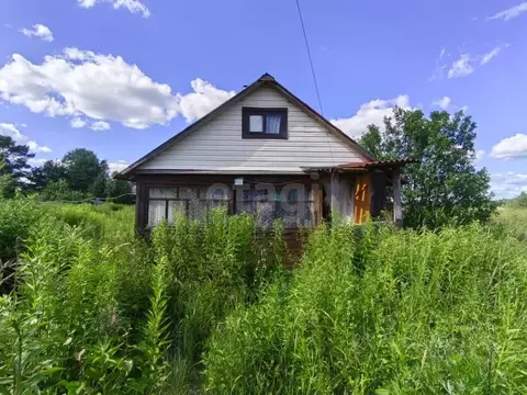 Дом в Вологодская область, Грязовецкий муниципальный округ, д. Кашино  ...