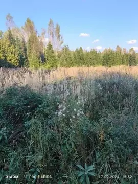 Участок в Москва Заповедное СНТ,  (10.0 сот.)