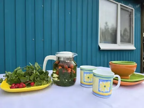 Дом в Омская область, Омский район, Дружинское с/пос, СНТ Березка ТСН ...