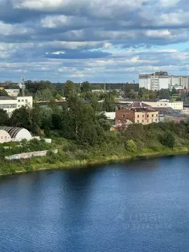 Участок в Псковская область, Псков ул. 128-й Стрелковой Дивизии, 11/1 ...