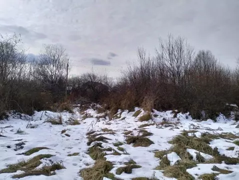 Участок в Иркутская область, Иркутский муниципальный округ, с. ...