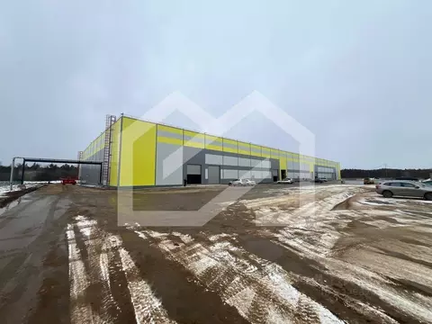 Производственное помещение в Московская область, Богородский городской ...