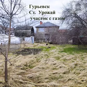 Участок в Калининградская область, Гурьевск Урожай СНТ, 107А (5.55 ...