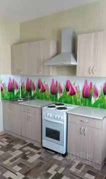 1-к кв. Красноярский край, Красноярск наб. Ярыгинская, 5 (40.0 м)