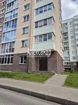 Помещение свободного назначения в Санкт-Петербург, Санкт-Петербург, ...