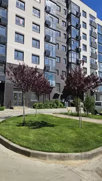 Студия Краснодарский край, Темрюк Дальняя ул., 30 (25.0 м)