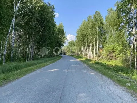 Участок в Тюменская область, Нижнетавдинский муниципальный округ, ...