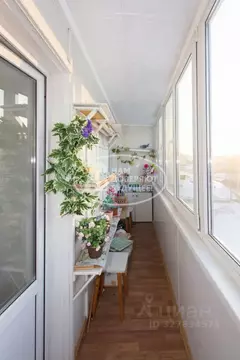 2-к кв. Пермский край, Чайковский Советская ул., 55 (49.4 м)