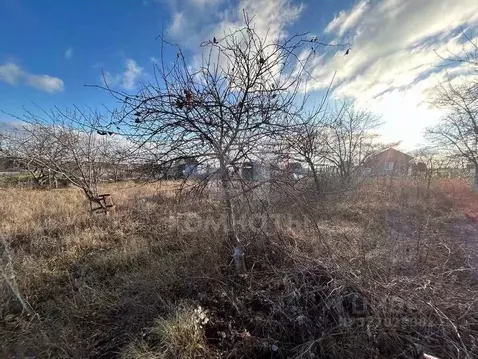 Участок в Воронежская область, Рамонский район, Русскогвоздевское ...