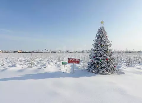 Участок в Ленинградская область, Ломоносовский район, Низинское с/пос, ...