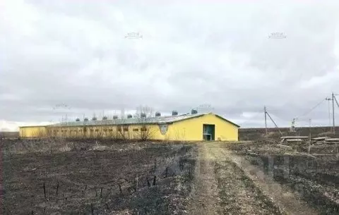 Помещение свободного назначения в Калужская область, Мещовск городское ...