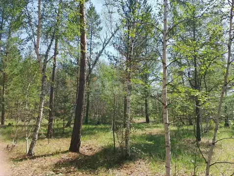 Участок в Забайкальский край, Читинский район, с. Верх-Чита пер. Малый ...