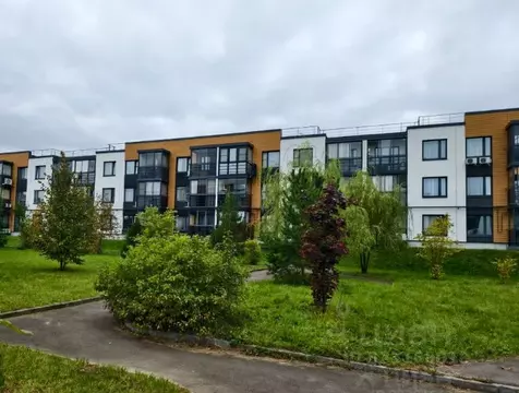 1-к кв. Московская область, Истра муниципальный округ, д. Красный ...