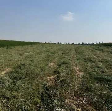 Участок в Краснодарский край, Динской район, Пластуновское с/пос, ...