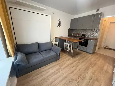 Студия Москва Ясеневая ул., 12к2 (19.5 м)