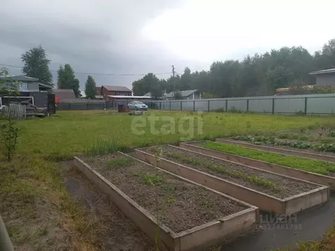 Участок в Тюменская область, Тюмень Медик СНТ, ул. Виноградная (10.77 ...