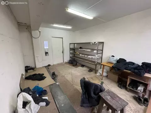 Помещение свободного назначения (72 м)