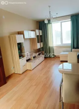 1-комнатная квартира: Анкудиновка, Русская улица, 5 (38 м)