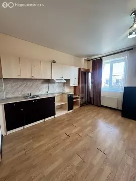 Квартира-студия: село Витязево, 1-й Греческий переулок, 4 (24 м)