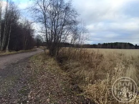 Участок в Ленинградская область, Выборгский район, Полянское с/пос, д. ...