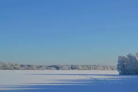 Участок в Ленинградская область, Выборгский район, Полянское с/пос, ...