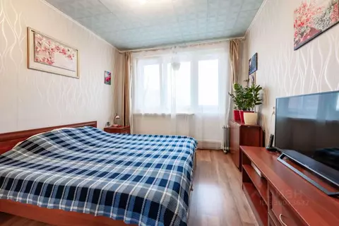 3-к кв. Санкт-Петербург просп. Луначарского, 76 (61.5 м)