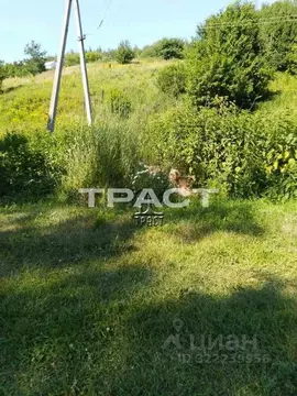 Участок в Воронежская область, Рамонский район, Березовское с/пос, с. ...