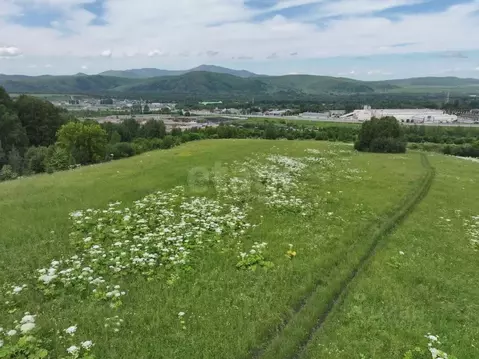 Участок в Алтай, Майминский район, с. Майма  (8.0 сот.)