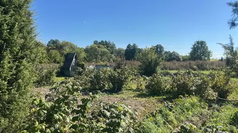 Участок в Московская область, Ступино городской округ, Малино пгт  ...