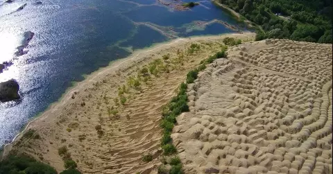 Участок в Ленинградская область, Гатчинский муниципальный округ, ...