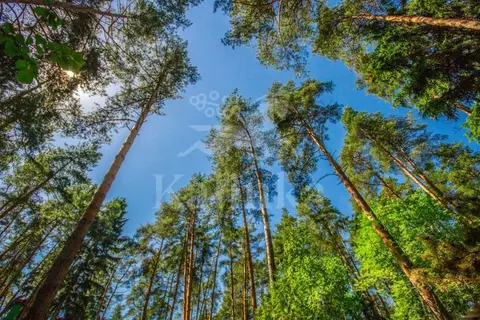 Участок в Московская область, Звенигород Одинцовский городской округ, ...