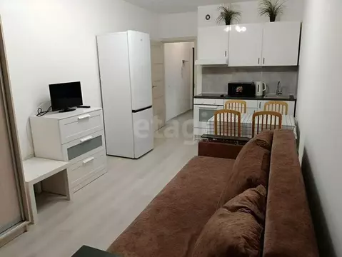 Квартира-студия: Санкт-Петербург, проспект Ветеранов, 173к1 (24.7 м)