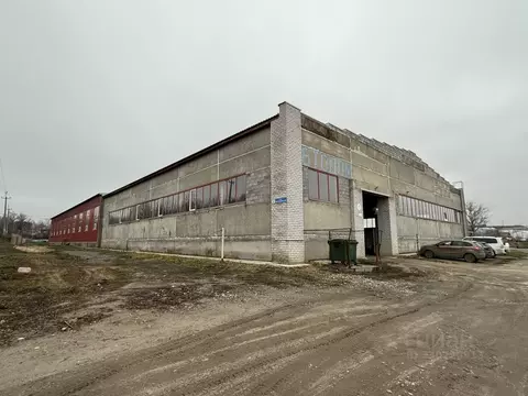 Производственное помещение в Волгоградская область, Городище рп ул. ...