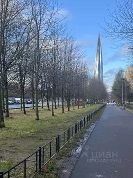 1-к кв. Санкт-Петербург Приморский просп., 141К2 (38.7 м)