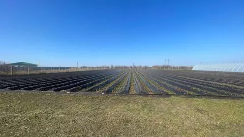 Участок в Крым, Кировский район, Журавское с/пос, с. Тутовка ул. Бахт, ...