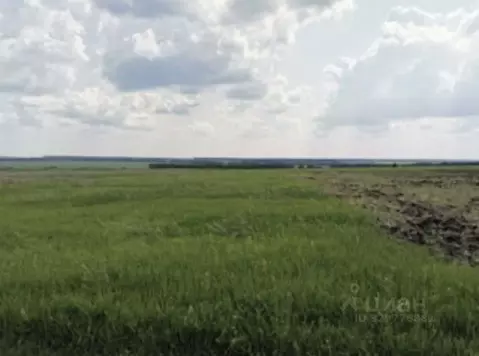 Участок в Башкортостан, Уфимский район, Таптыковский сельсовет, с. ...