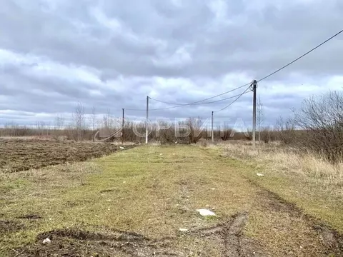 Участок в Тюменская область, Тюменский муниципальный округ, Горячий ...