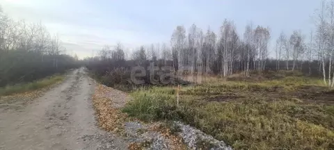 Участок в Тюменская область, Нижнетавдинский муниципальный округ, ...