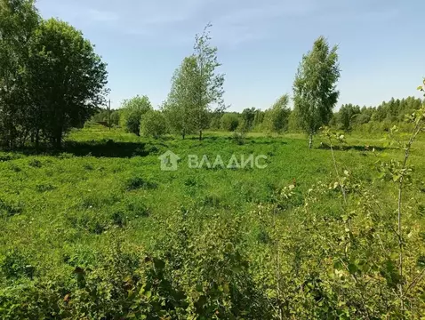 Участок в Владимирская область, Судогодский муниципальный округ, пос. ...