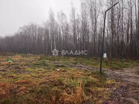Участок в Ленинградская область, Всеволожский район, Заневское ...