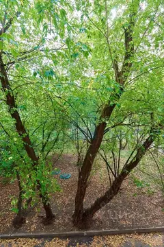 2-к кв. Москва ул. Куусинена, 4К3 (52.7 м)