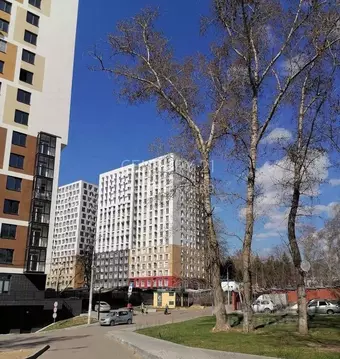 Студия Московская область, Лыткарино 6-й мкр, 15Д (23.9 м)