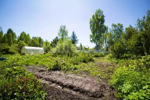 Участок в Томская область, Томский район, Надежда-1 садовое ...