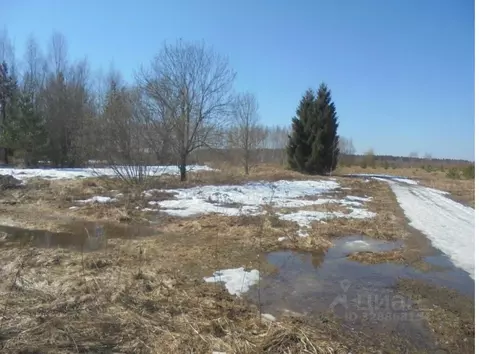 Участок в Московская область, Дмитровский муниципальный округ, с. ...