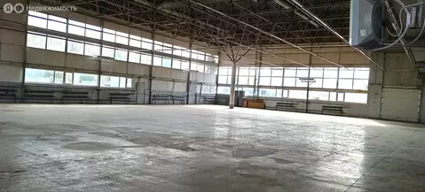 Помещение свободного назначения (999.3 м)