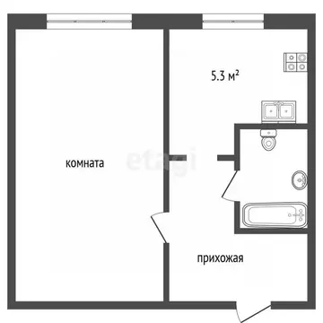 Студия Ярославская область, Ярославль Чернопрудная ул., 15 (24.63 м)