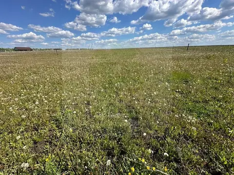 Участок в Башкортостан, Кушнаренковский сельсовет, с. Тарабердино пер. ...