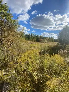 Участок в Брянская область, Брянский район, Добрунское с/пос, ...