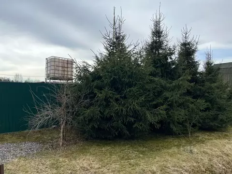 Участок в Ленинградская область, Гатчинский муниципальный округ, д. ...