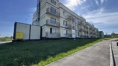 Студия Ленинградская область, Всеволожский район, Романовское с/пос, ...